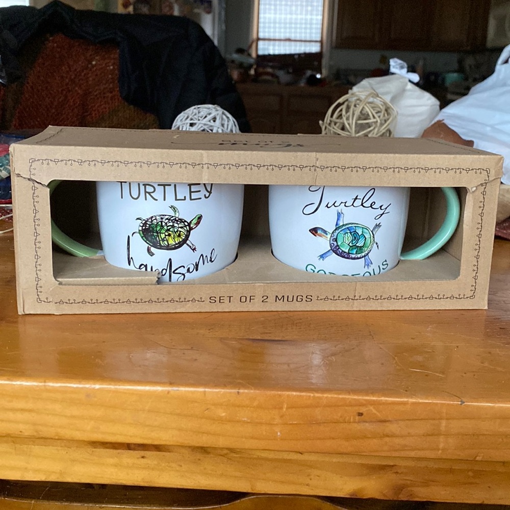 Couple’s Turtle Mugs